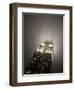 New York City, Manhattan, Empire State Building on a Rainy Evening- Low Angle View, USA-Gavin Hellier-Framed Photographic Print