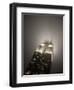 New York City, Manhattan, Empire State Building on a Rainy Evening- Low Angle View, USA-Gavin Hellier-Framed Photographic Print