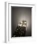 New York City, Manhattan, Empire State Building on a Rainy Evening- Low Angle View, USA-Gavin Hellier-Framed Photographic Print