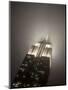 New York City, Manhattan, Empire State Building on a Rainy Evening- Low Angle View, USA-Gavin Hellier-Mounted Photographic Print