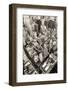 New York City Manhattan Skyline Aerial View Black and White with Skyscrapers and Street-Songquan Deng-Framed Photographic Print