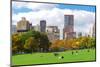 New York City Manhattan Skyline Panorama Viewed from Central Park with Cloud and Blue Sky and Peopl-Songquan Deng-Mounted Photographic Print