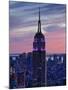 New York City, Manhattan, View Towards Downtown; Empire State Building from Rockerfeller Centre, US-Gavin Hellier-Mounted Premium Photographic Print