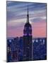 New York City, Manhattan, View Towards Downtown; Empire State Building from Rockerfeller Centre, US-Gavin Hellier-Mounted Photographic Print