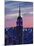 New York City, Manhattan, View Towards Downtown; Empire State Building from Rockerfeller Centre, US-Gavin Hellier-Mounted Photographic Print