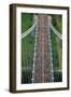 New York City Marathon Runners on Verrazano Bridge-null-Framed Premium Photographic Print