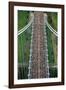 New York City Marathon Runners on Verrazano Bridge-null-Framed Photographic Print