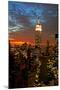 New York City Midtown Skyline-Gary718-Mounted Photographic Print