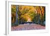 New York City, New York - Central Park in Autumn-Lantern Press-Framed Art Print