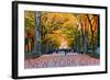 New York City, New York - Central Park in Autumn-Lantern Press-Framed Art Print