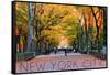 New York City, New York - Central Park in Autumn-Lantern Press-Framed Stretched Canvas