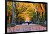 New York City, New York - Central Park in Autumn-Lantern Press-Framed Art Print