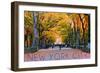 New York City, New York - Central Park in Autumn-Lantern Press-Framed Art Print