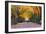 New York City, New York - Central Park in Autumn-Lantern Press-Framed Art Print