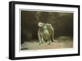 New York City, New York - Octopus at the Aquarium-Lantern Press-Framed Art Print