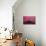 New York City, New York - Pink Skyline-Lantern Press-Art Print displayed on a wall