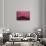 New York City, New York - Pink Skyline-Lantern Press-Art Print displayed on a wall