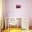 New York City, New York - Pink Skyline-Lantern Press-Stretched Canvas displayed on a wall