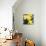 New York City, New York, USA. Daffodil bundle.-Julien McRoberts-Stretched Canvas displayed on a wall