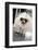 New York City, New York, USA. Small fluffy dog wearing sneakers and sunglasses.-Julien McRoberts-Framed Photographic Print
