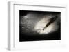 New York City, New York. Usa-Julien McRoberts-Framed Photographic Print