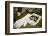 New York City, NY. 1920's Jazz Age Lawn Party at Governors Island-Julien McRoberts-Framed Photographic Print