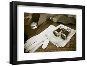 New York City, NY. 1920's Jazz Age Lawn Party at Governors Island-Julien McRoberts-Framed Photographic Print