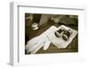 New York City, NY. 1920's Jazz Age Lawn Party at Governors Island-Julien McRoberts-Framed Photographic Print