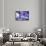 New York City, Ny Beautiful Gems and Crystals on Display-Julien McRoberts-Framed Stretched Canvas displayed on a wall