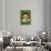 New York City, NY, New York Giants, George H. Schlei, Baseball Card-Lantern Press-Stretched Canvas displayed on a wall