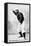 New York City, NY, New York Giants, Jim O'Rourke, Baseball Card-Lantern Press-Framed Stretched Canvas