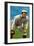 New York City, NY, New York Giants, Mike Donlin, Baseball Card-Lantern Press-Framed Art Print