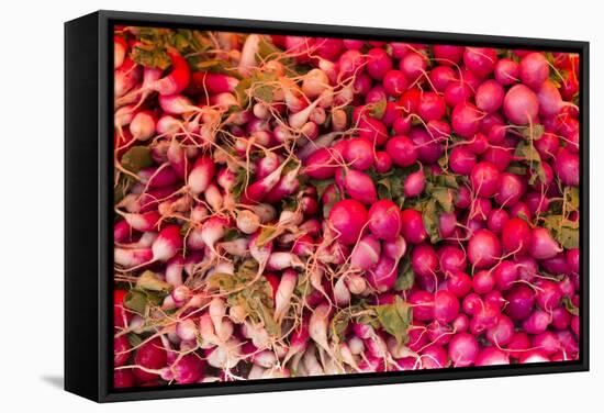 New York City, Ny, USA. Farmers Market-Julien McRoberts-Framed Stretched Canvas