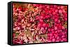 New York City, Ny, USA. Farmers Market-Julien McRoberts-Framed Stretched Canvas