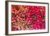 New York City, Ny, USA. Farmers Market-Julien McRoberts-Framed Photographic Print