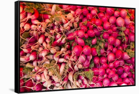 New York City, Ny, USA. Farmers Market-Julien McRoberts-Framed Stretched Canvas