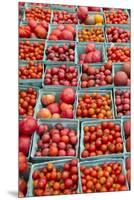 New York City, Ny, USA. Farmers Market-Julien McRoberts-Mounted Premium Photographic Print