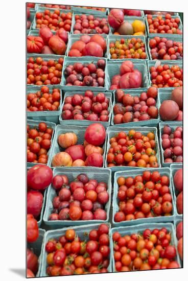 New York City, Ny, USA. Farmers Market-Julien McRoberts-Mounted Premium Photographic Print