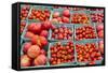 New York City, Ny, USA. Farmers Market-Julien McRoberts-Framed Stretched Canvas