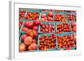 New York City, Ny, USA. Farmers Market-Julien McRoberts-Framed Photographic Print