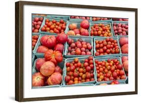 New York City, Ny, USA. Farmers Market-Julien McRoberts-Framed Photographic Print