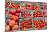 New York City, Ny, USA. Farmers Market-Julien McRoberts-Mounted Photographic Print