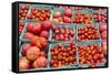 New York City, Ny, USA. Farmers Market-Julien McRoberts-Framed Stretched Canvas