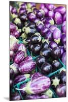 New York City, Ny, USA. Farmers Market-Julien McRoberts-Mounted Photographic Print