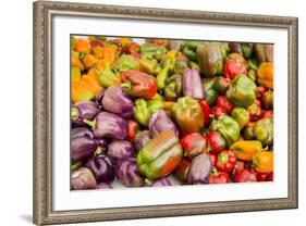 New York City, Ny, USA. Farmers Market-Julien McRoberts-Framed Photographic Print