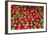 New York City, Ny, USA. Farmers Market-Julien McRoberts-Framed Photographic Print