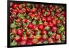 New York City, Ny, USA. Farmers Market-Julien McRoberts-Framed Photographic Print