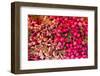 New York City, Ny, USA. Farmers Market-Julien McRoberts-Framed Photographic Print