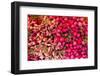 New York City, Ny, USA. Farmers Market-Julien McRoberts-Framed Photographic Print