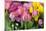 New York City, NY, USA. Floral Displays for Spring-Julien McRoberts-Mounted Premium Photographic Print
